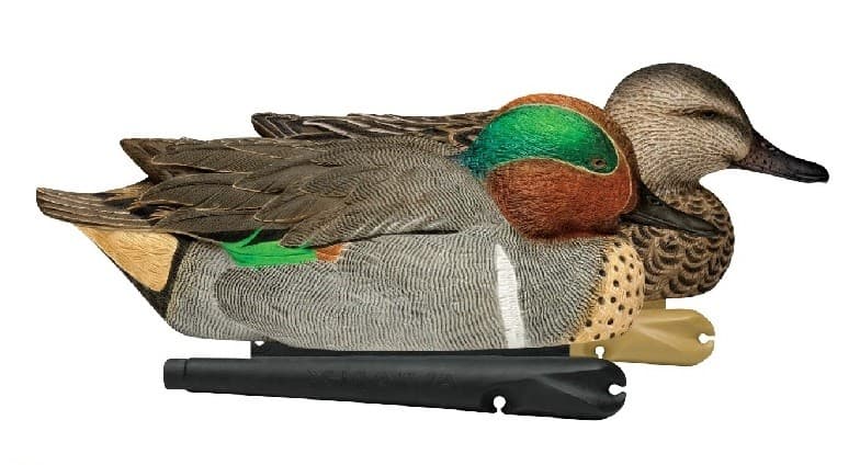 Avian-X Topflight tavikaave