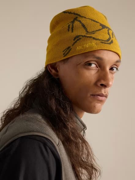 Arc'teryx Bird Head Toque pipo