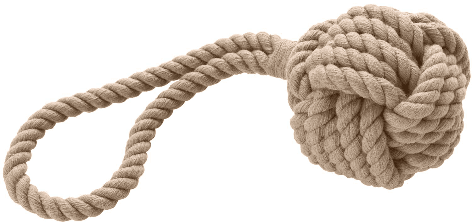 HUNTER Inari Toy Dog Ball koiran heittolelu, S, Tan