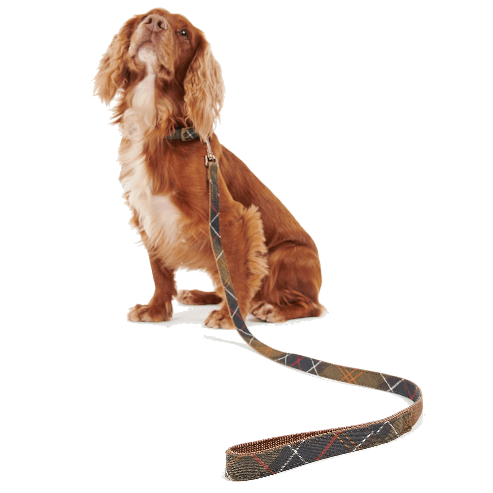 Barbour Tartan/Webbing Dog Lead Classic Tartan