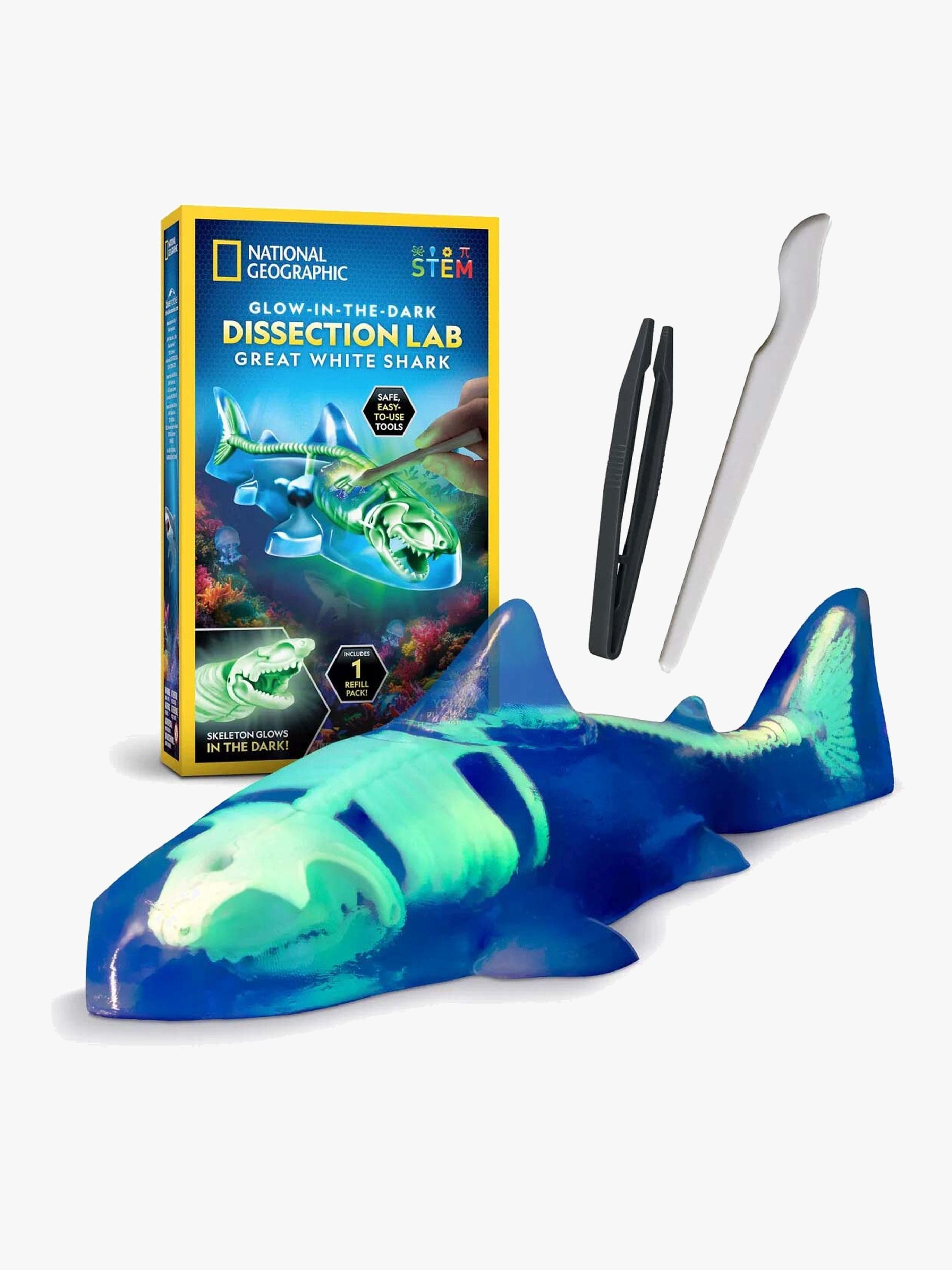 National Geographic Anatomian Tutkimussetti Hai