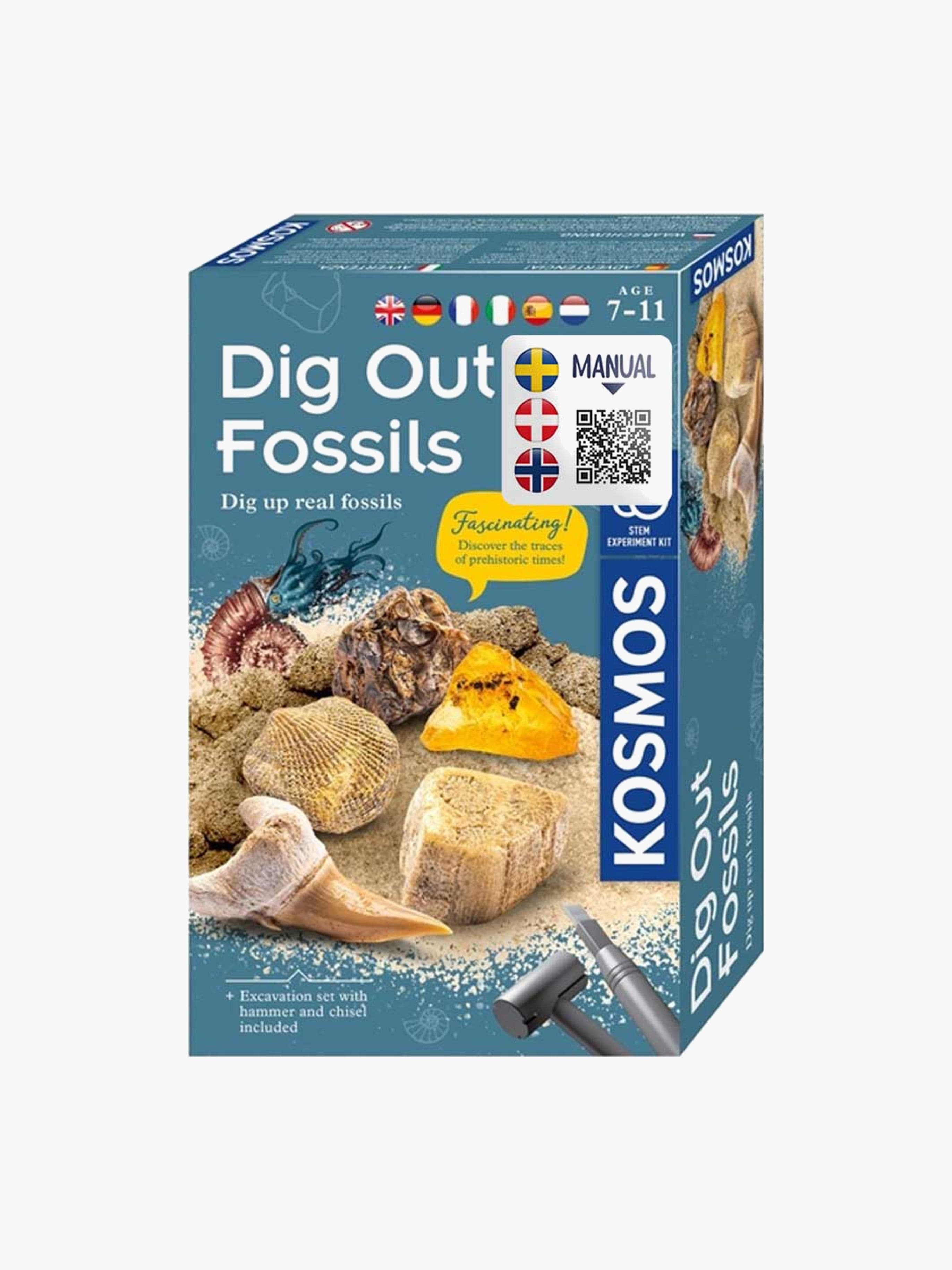 Kosmos Kaivaussetti Fossiilit