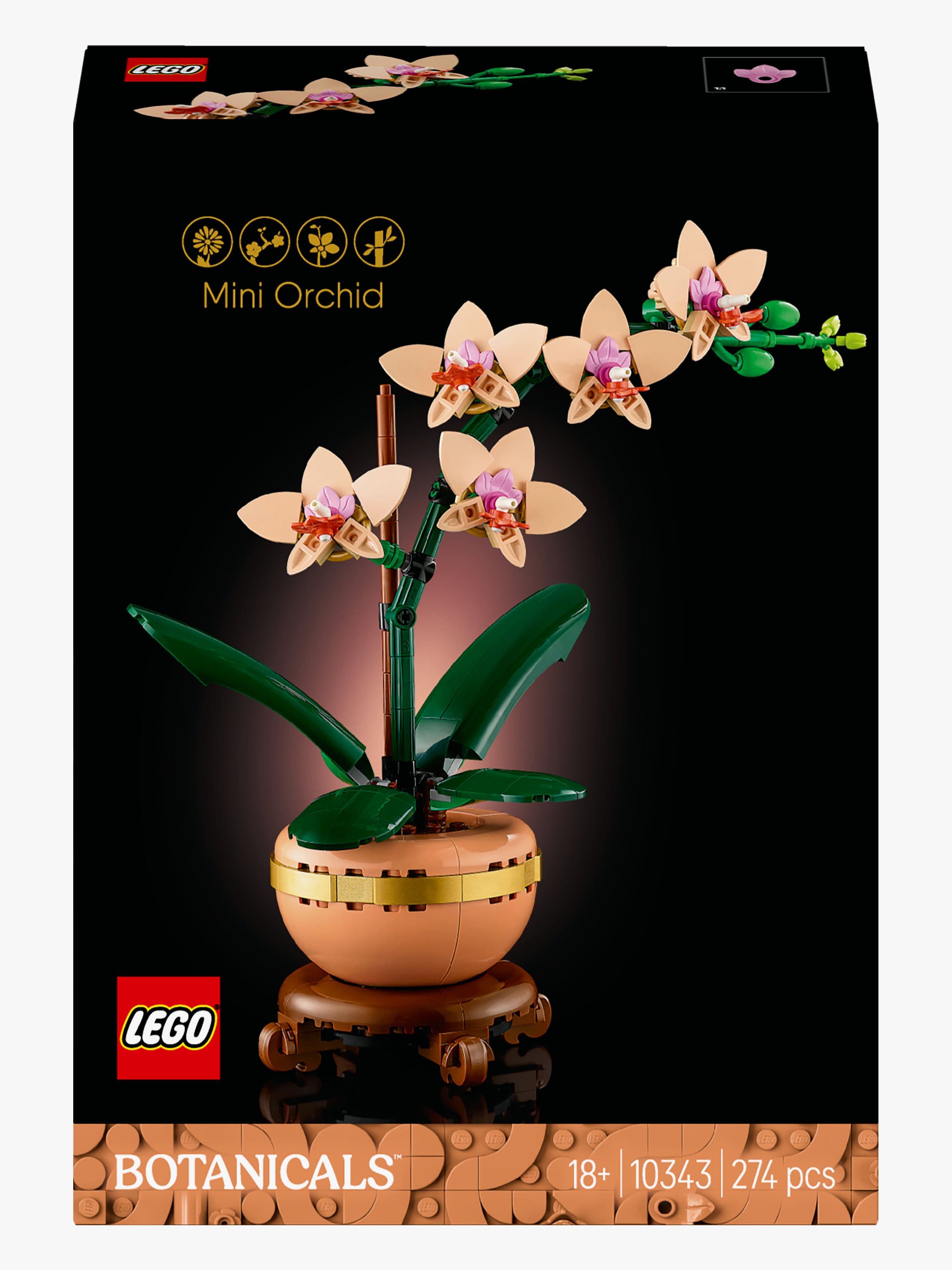 LEGO Botanicals 10343 Miniorkidea