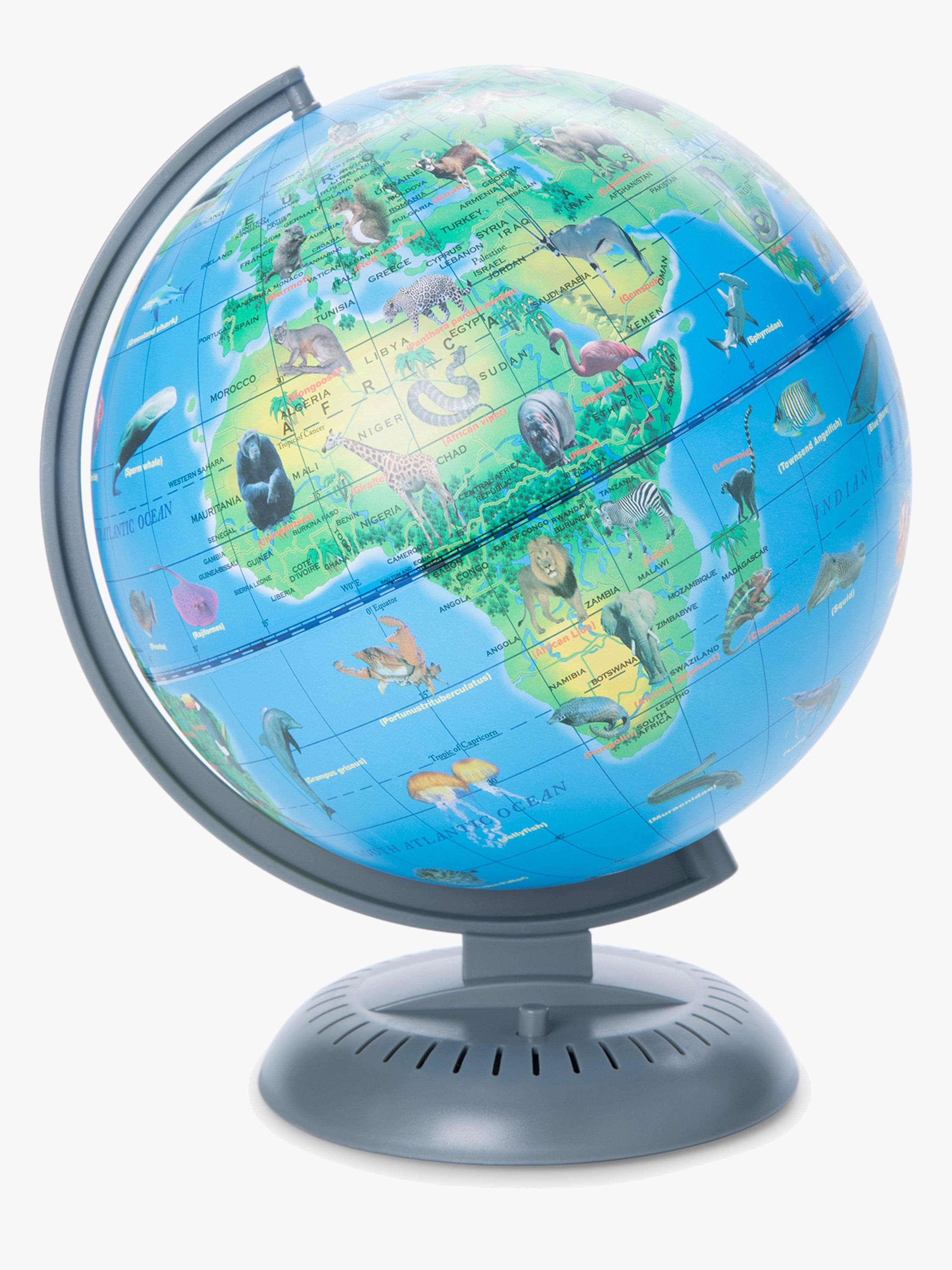 Fippla Globus Karttapallo, Eläimet