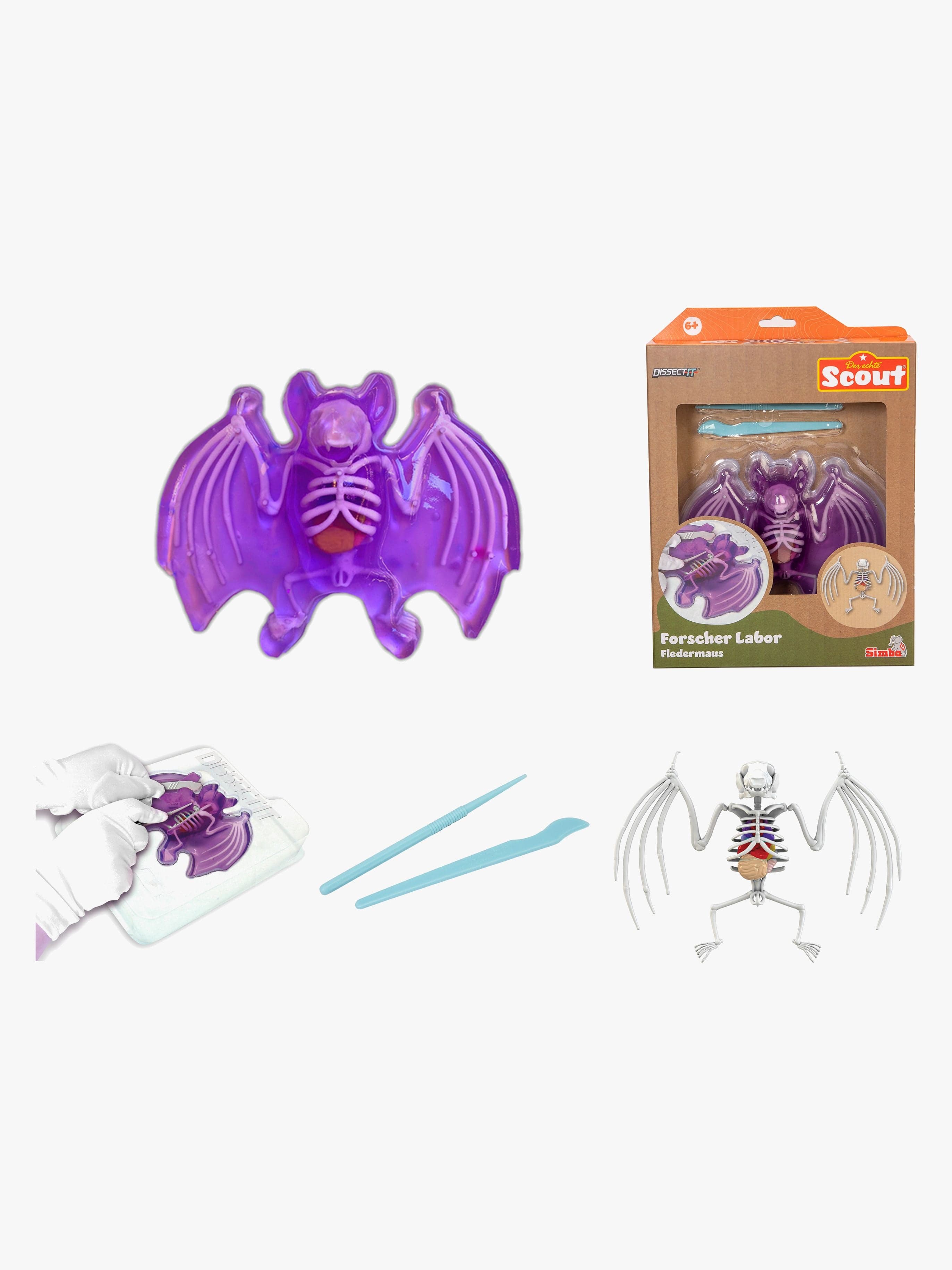 Scout Anatomian Tutkimussetti Lepakko