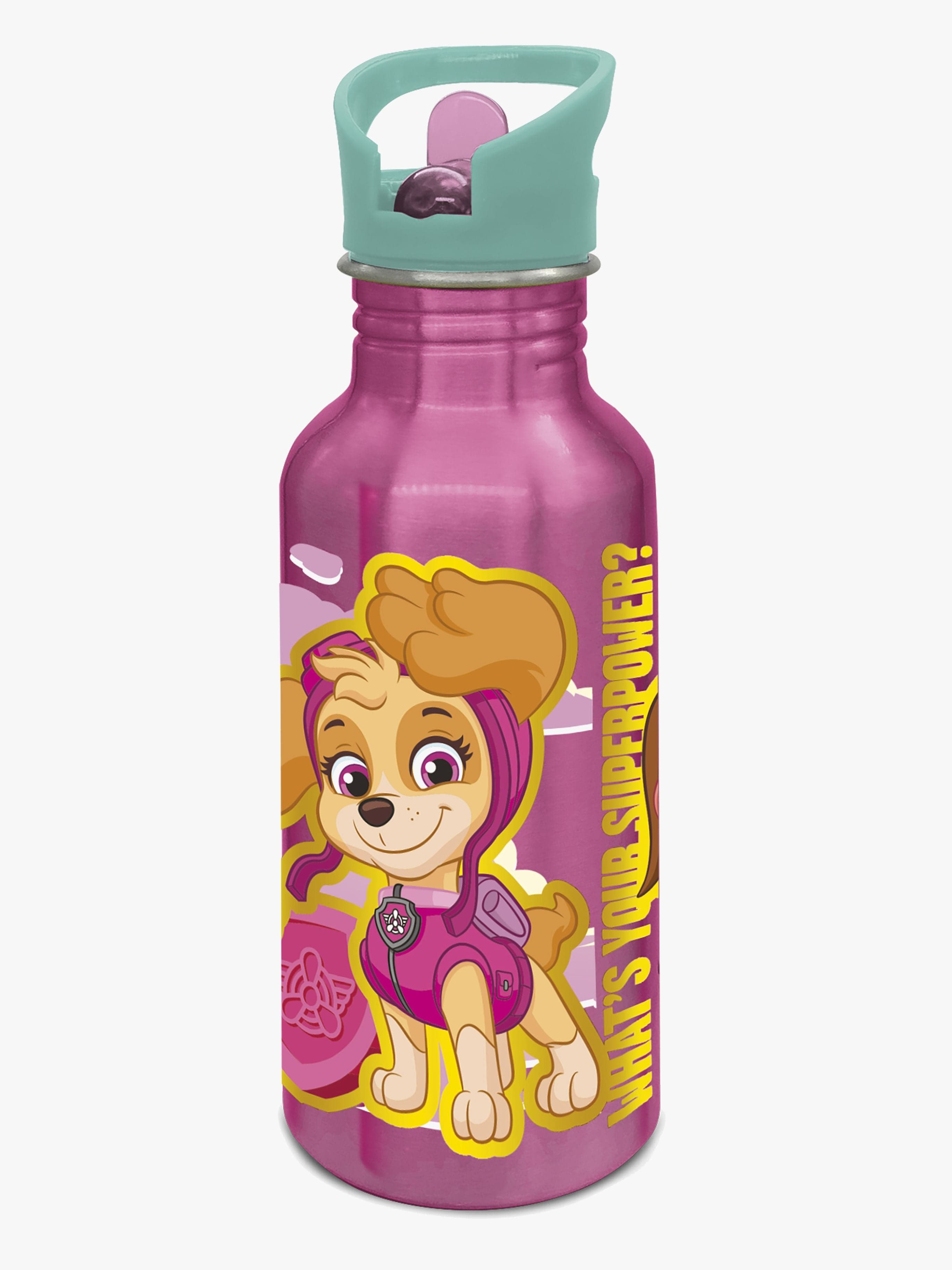 Ryhmä Hau Girls Alumiini Juomapullo 545ml, Vaaleanpunainen