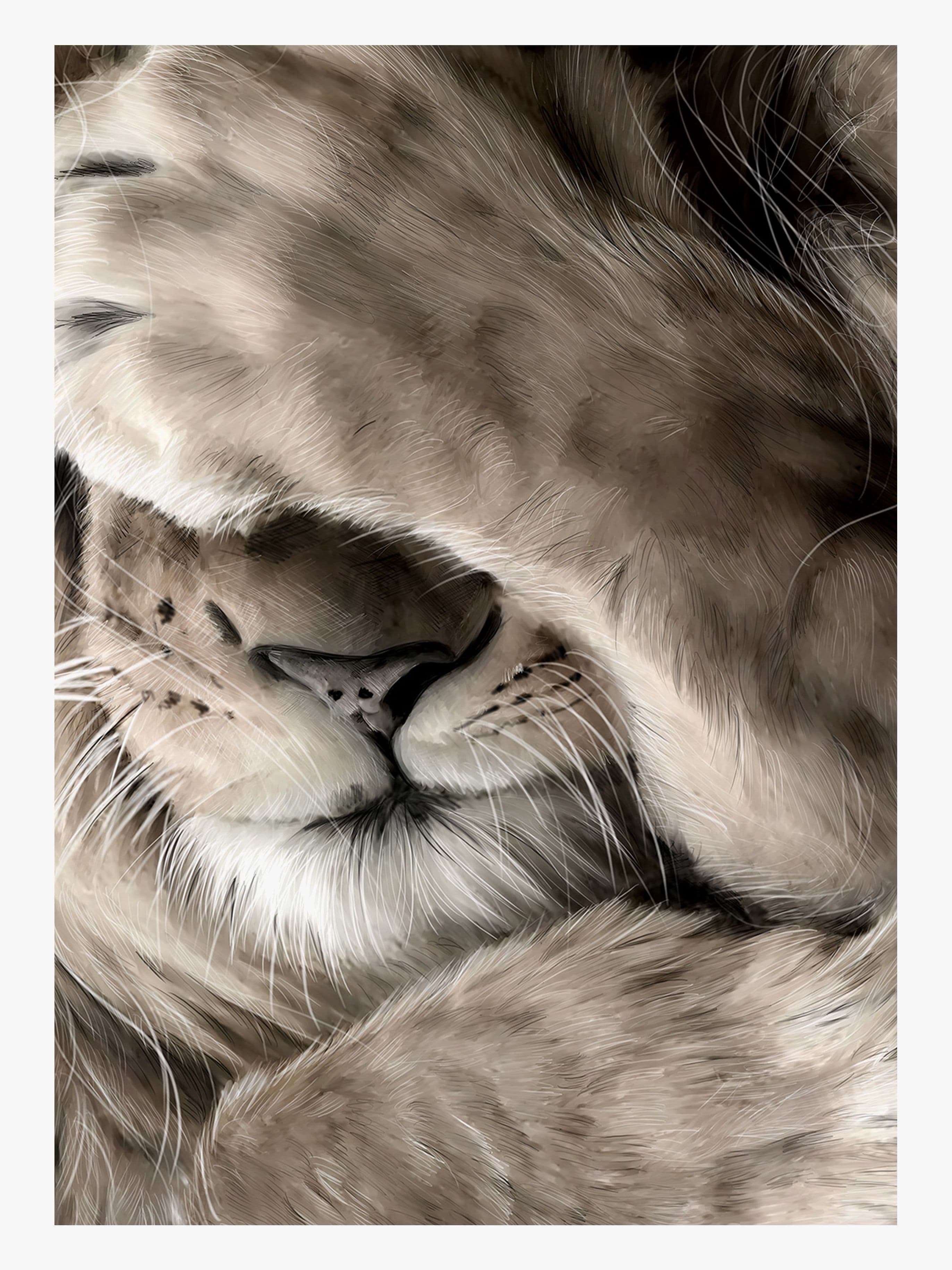 Linn Wold Juliste 30x40 Leo