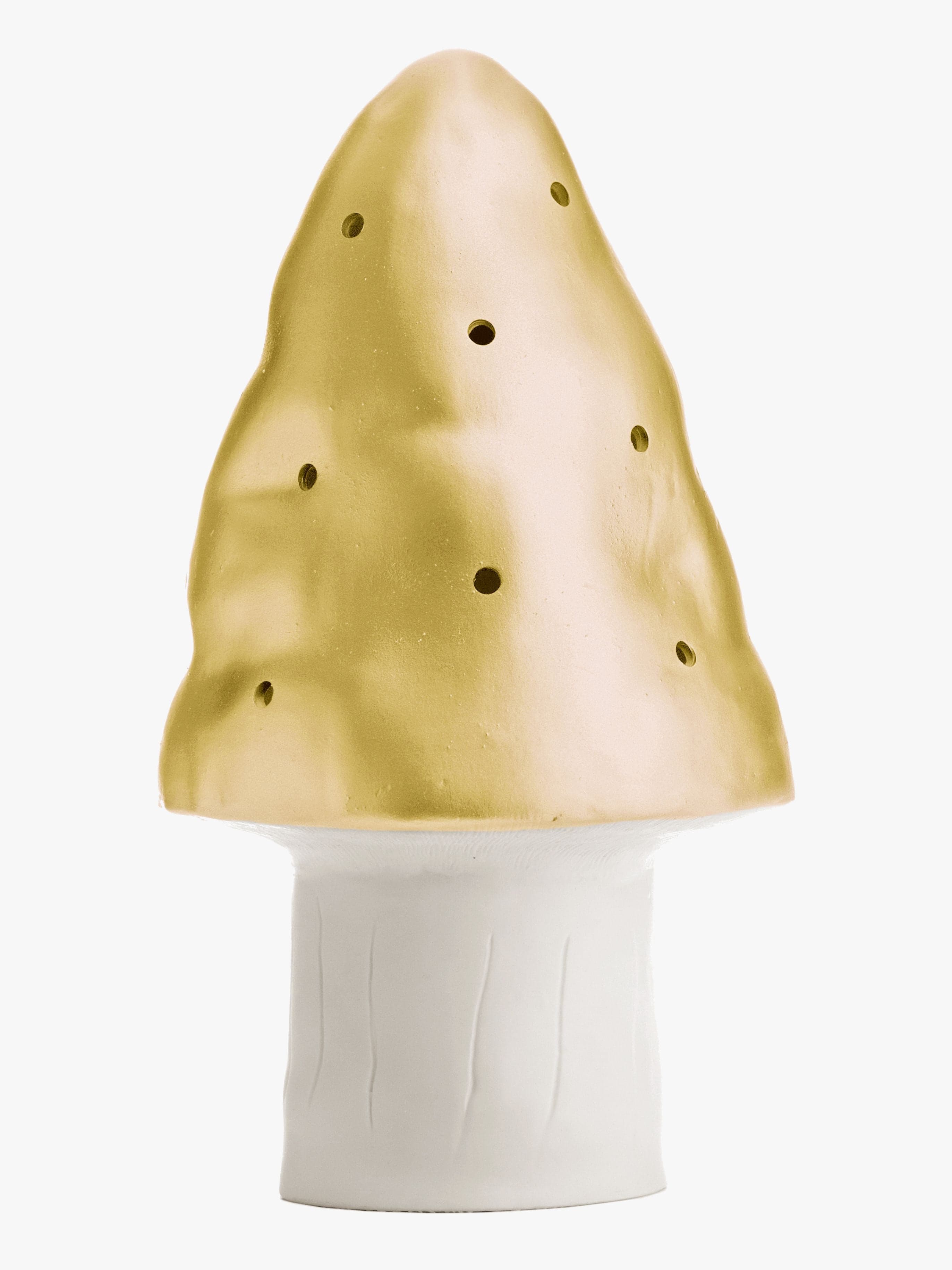 Heico Pöytävalaisin Kärpässieni, Kulta