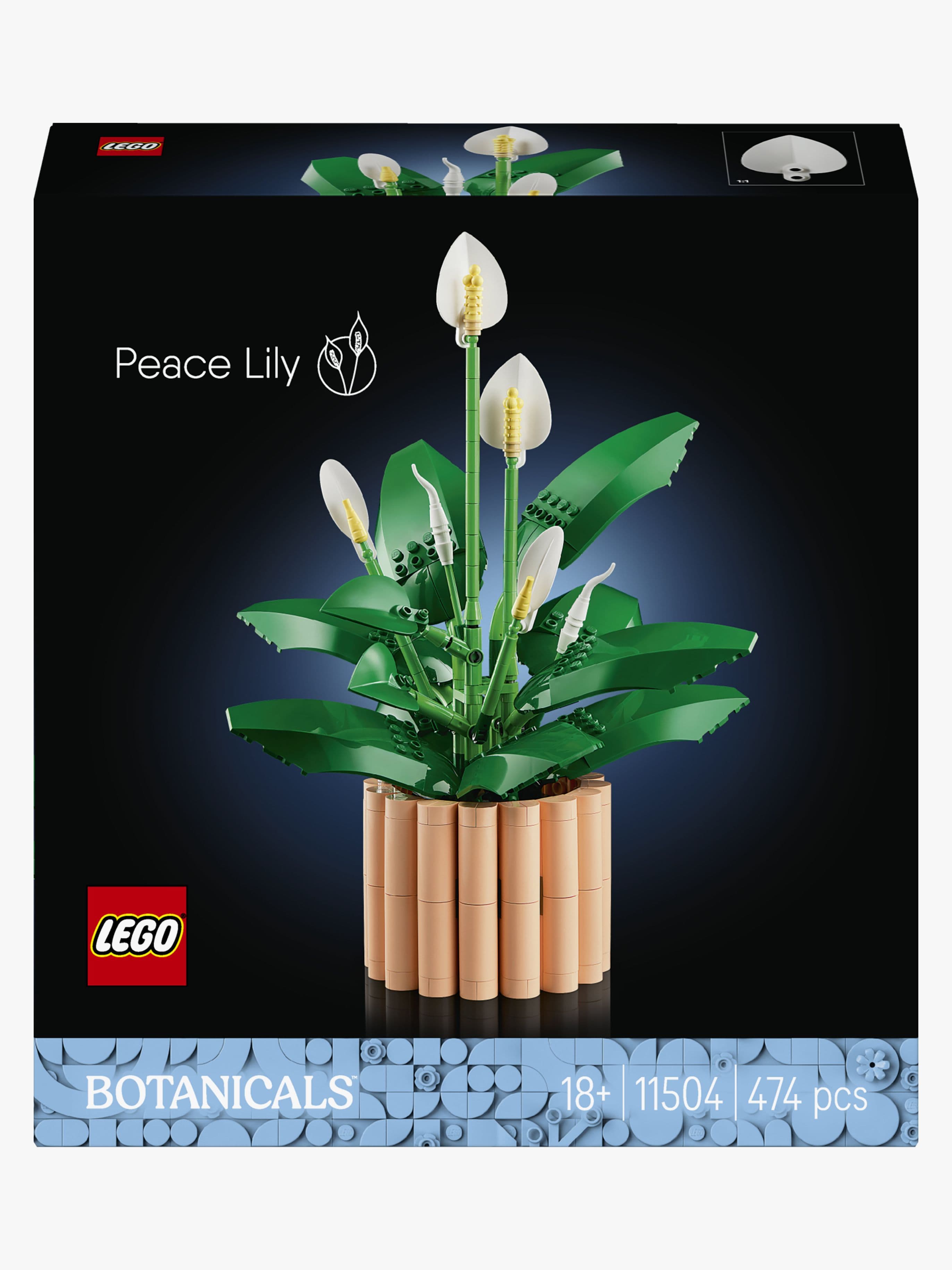 LEGO Botanicals 11504 Viirivehka