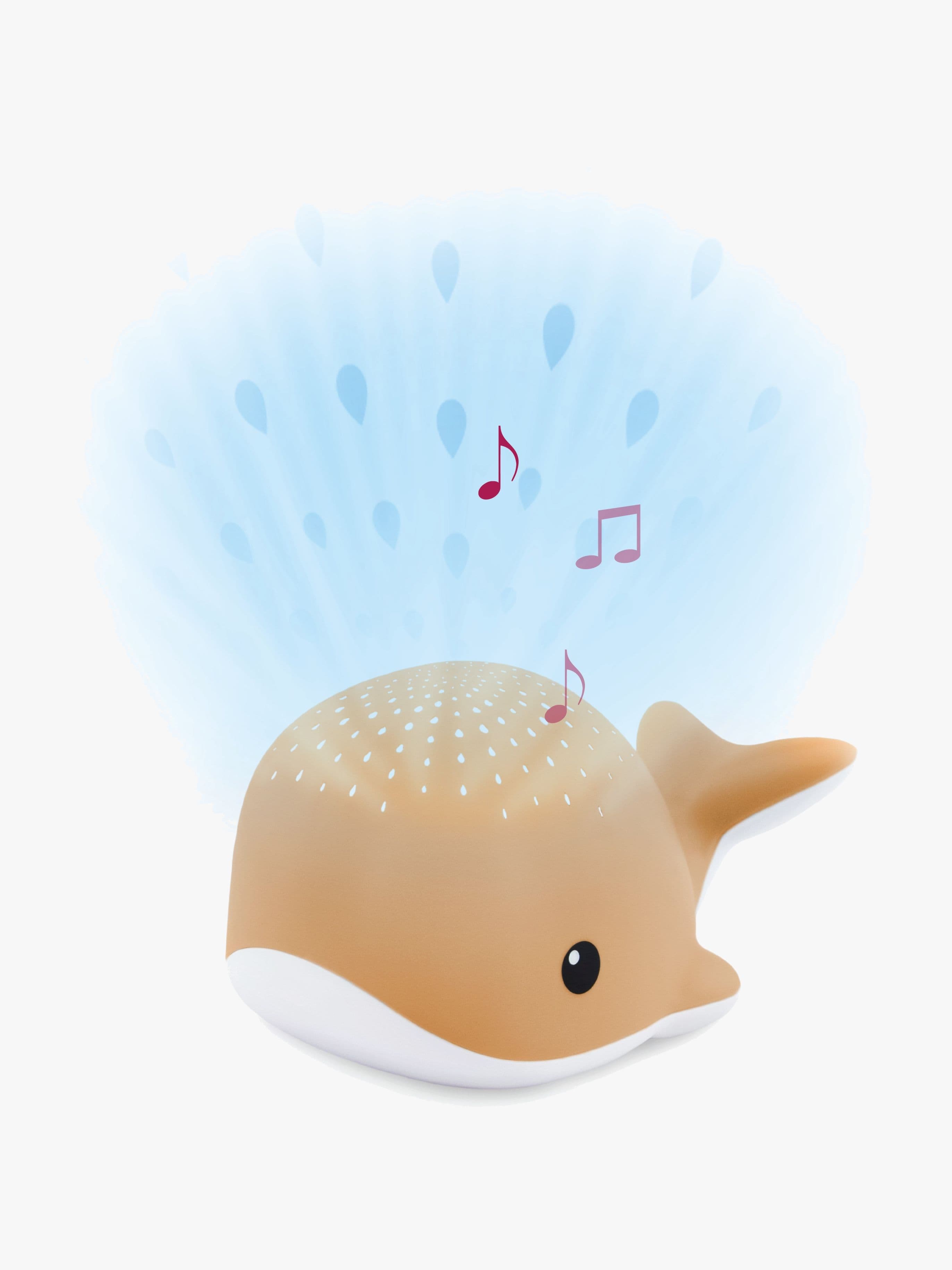 ZAZU Valoprojektori Valas Wally, Kameli