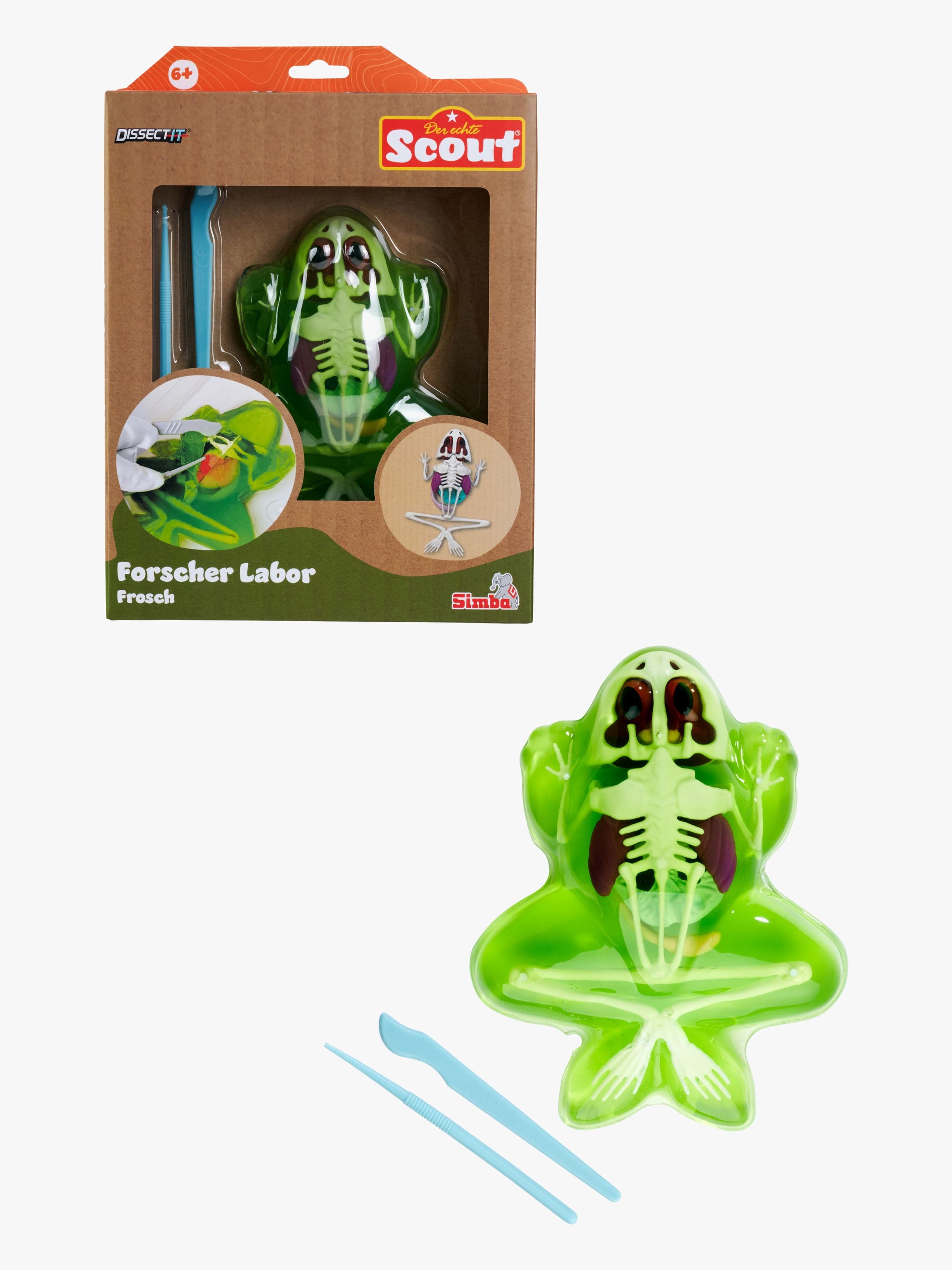 Simba Toys Anatomian Tutkimussetti Sammakko