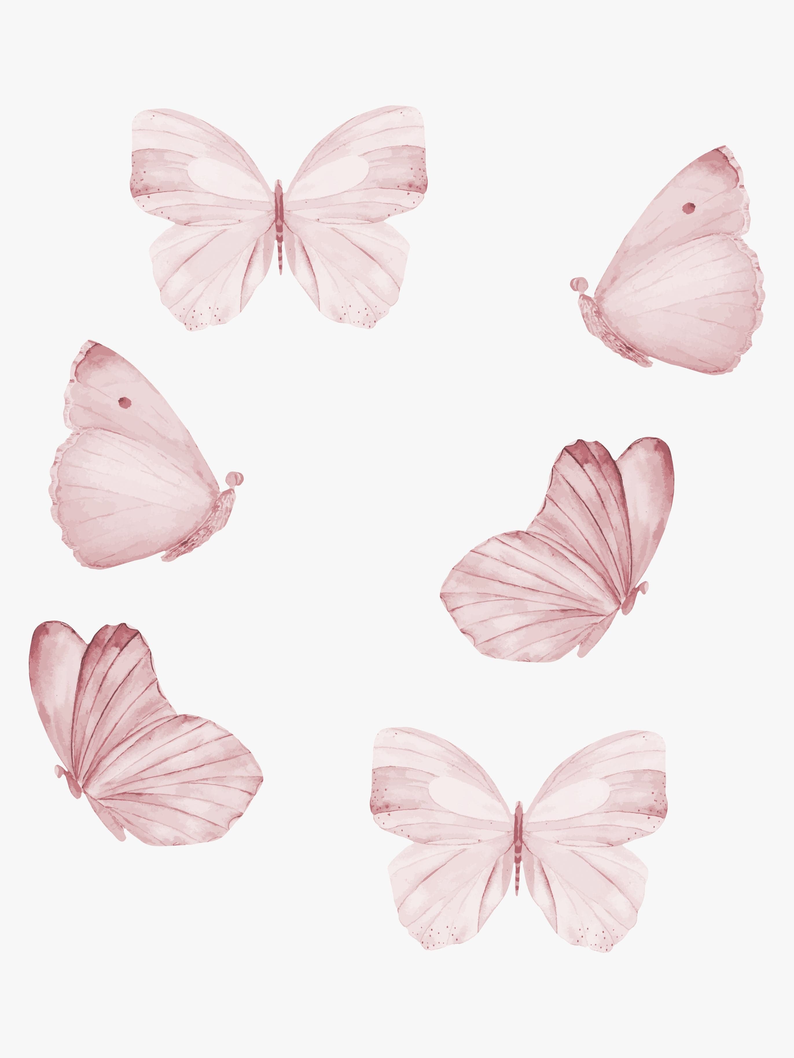 That"'s Mine Sisustustarra Butterfly 6-pack, Rose