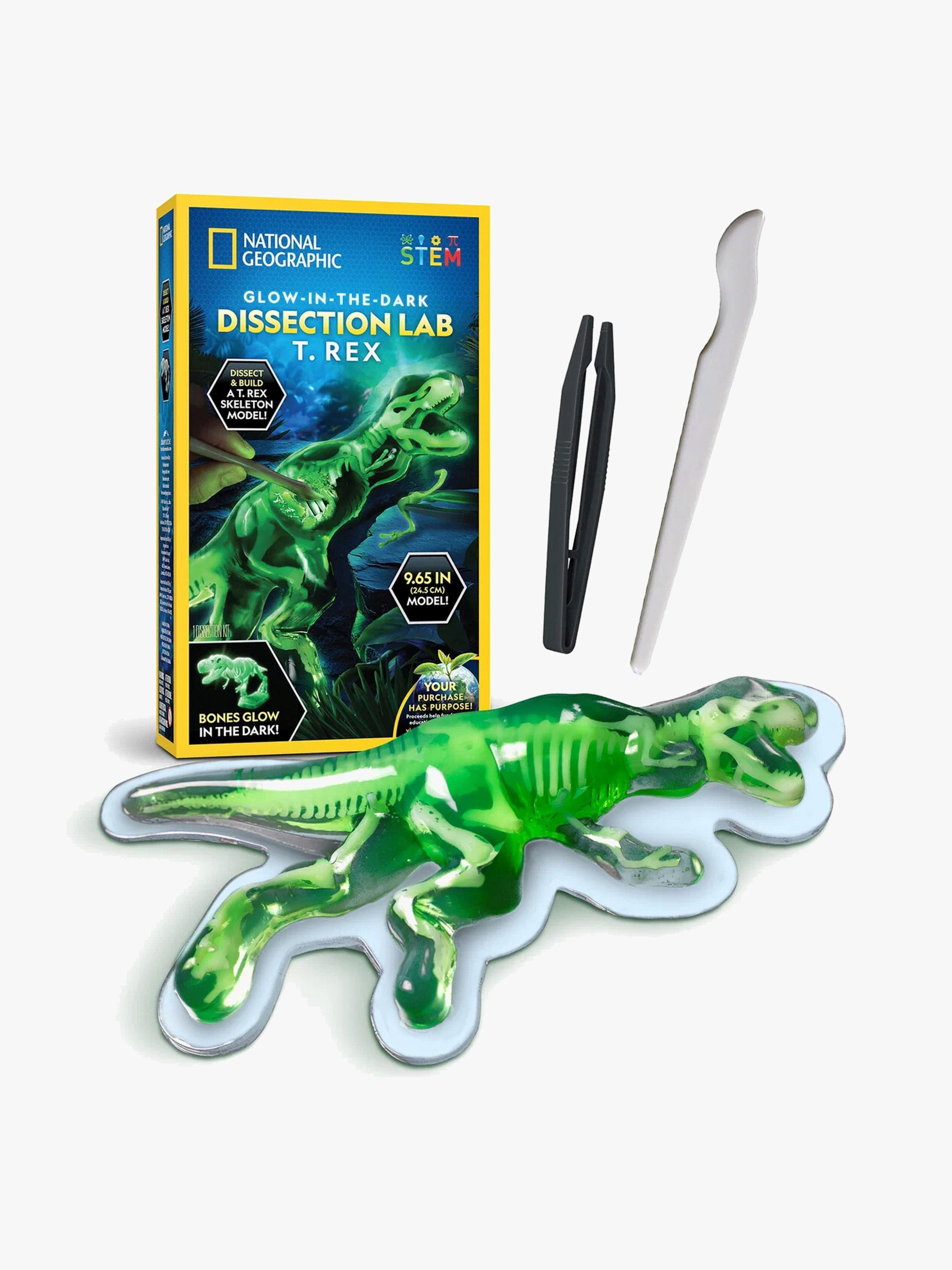 National Geographic Anatomian Tutkimussetti T. Rex