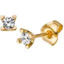 Schalins Seine 0.20 -korvakorut