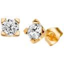 Schalins Seine 1.00 -korvakorut