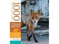 Utelias kettu ja muita nisäkkäitä