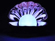 Maaginen merenneidon simpukkalamppu