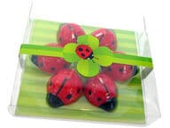 Kelluvat leppäkerttukynttilät (6 kpl)