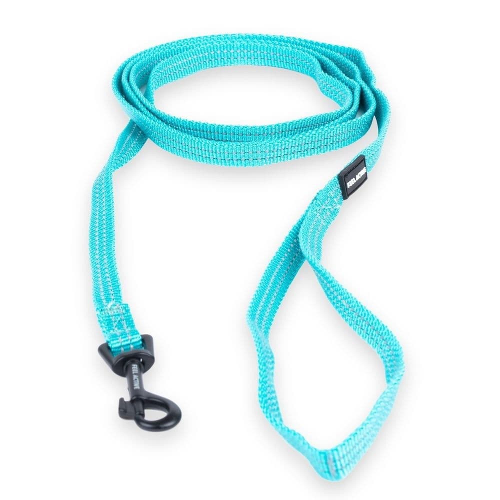 Feel Active Nylon talutin turkoosi 1 x 180 cm