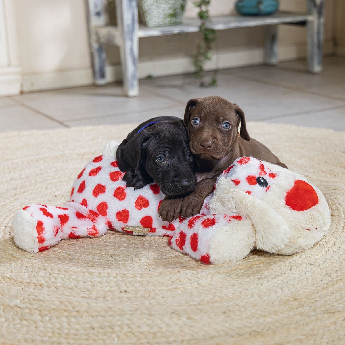 Beeztees Cuddle Toy Suki XL