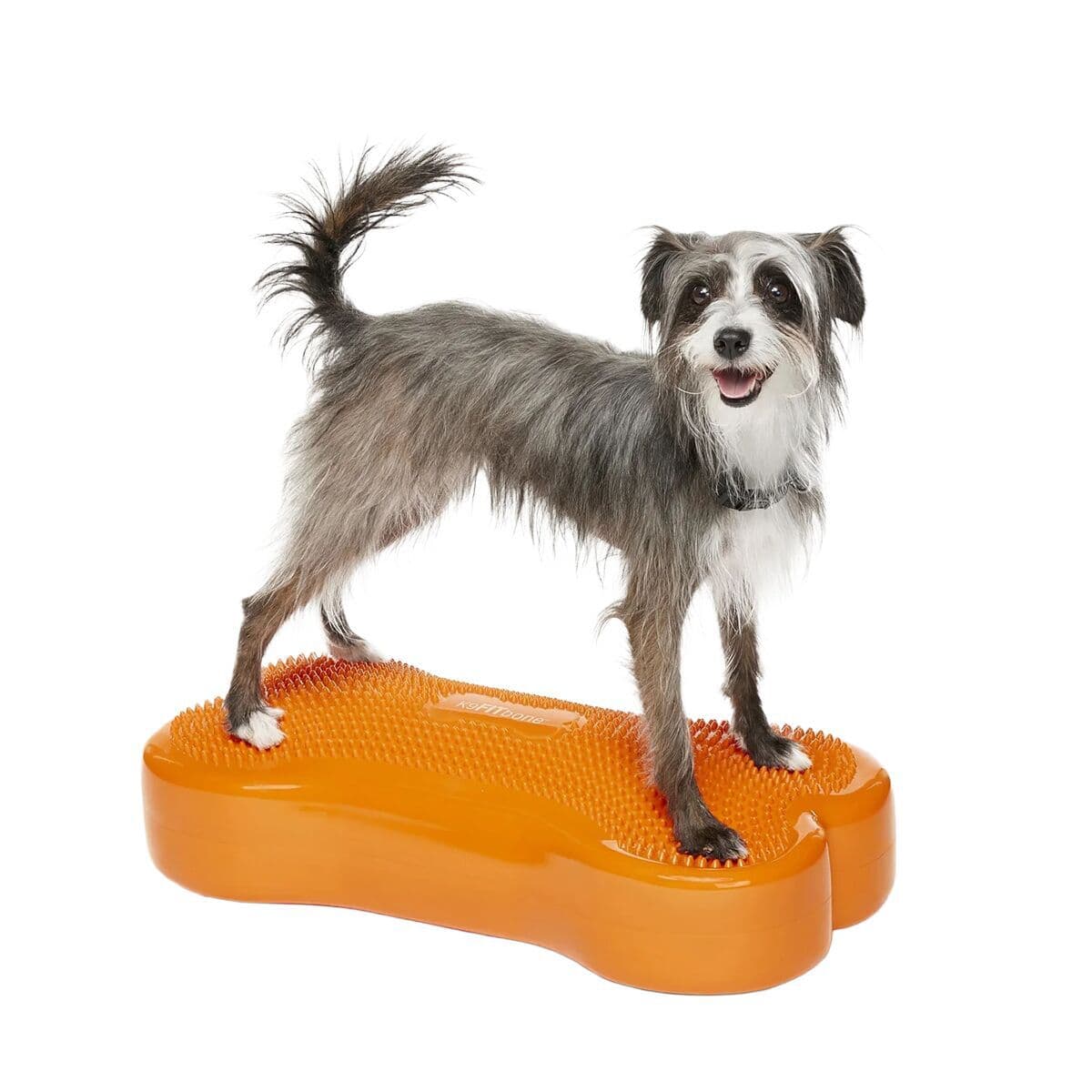 FitPaws K9FitBone, 58 x 29 x 10 cm