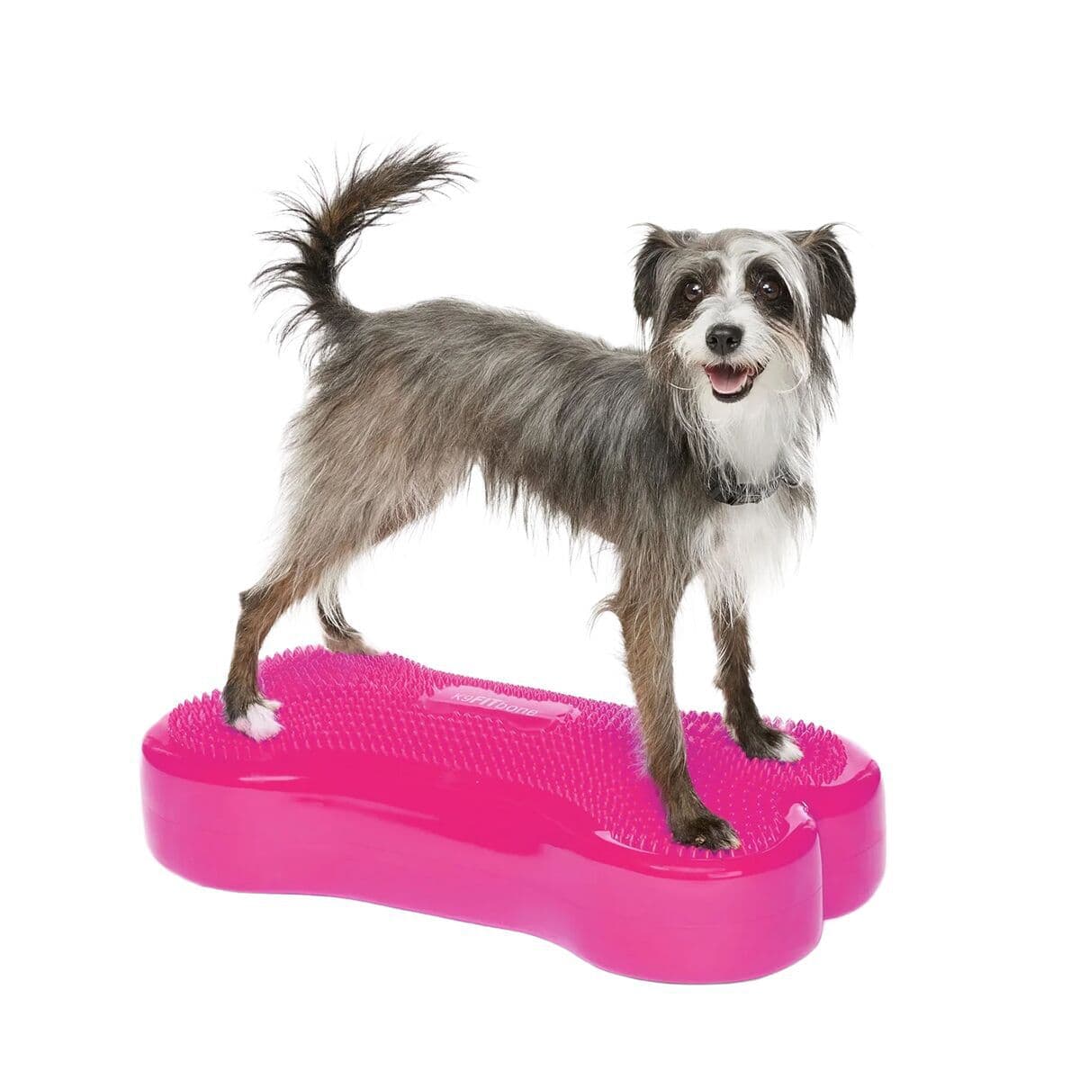 FitPaws K9FitBone, 58 x 29 x 10 cm