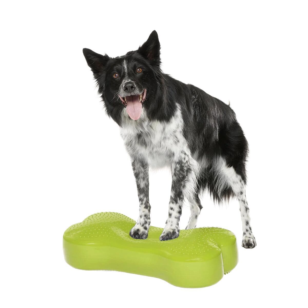 FitPaws K9FitBone, 58 x 29 x 10 cm