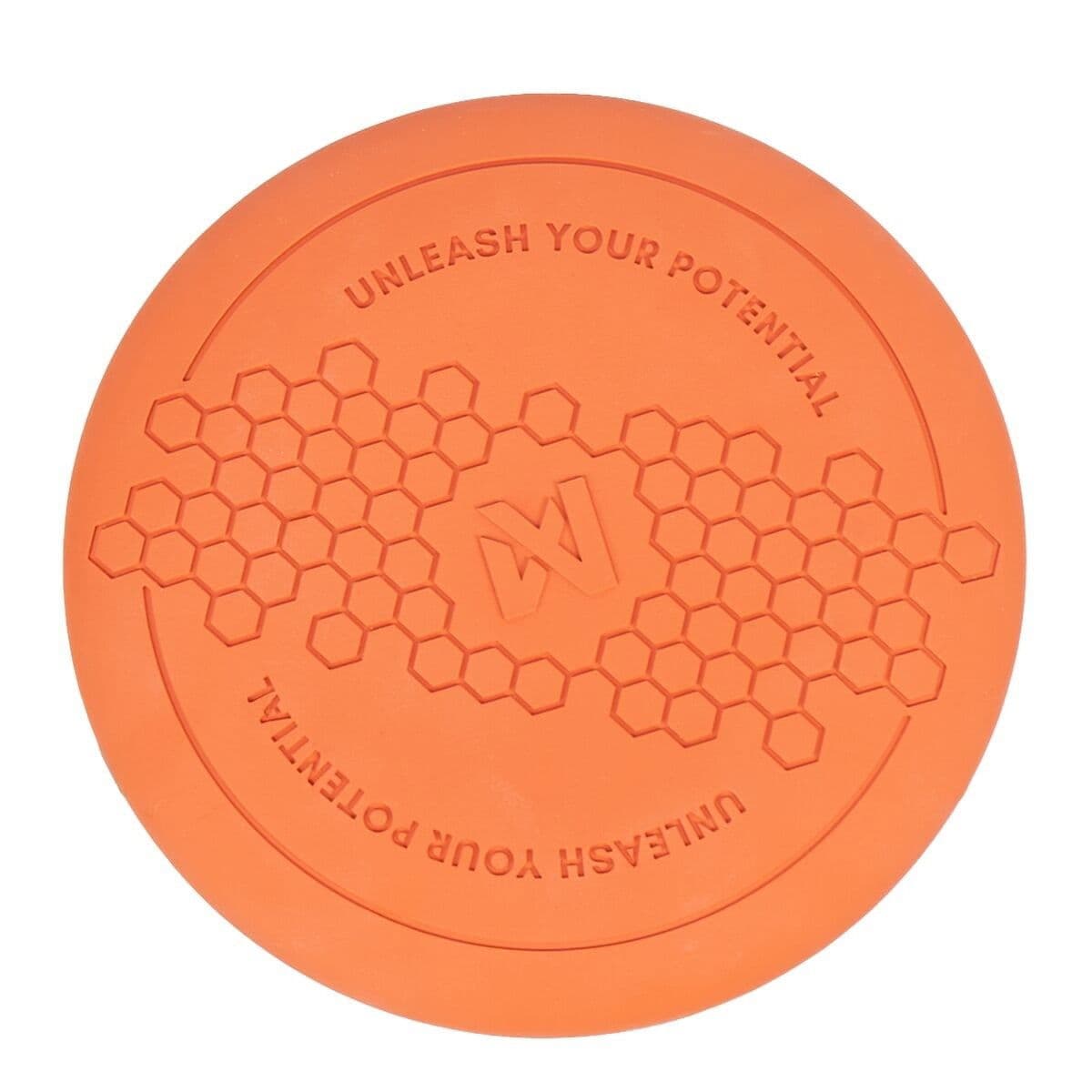 Non-Stop Dog Frisbee