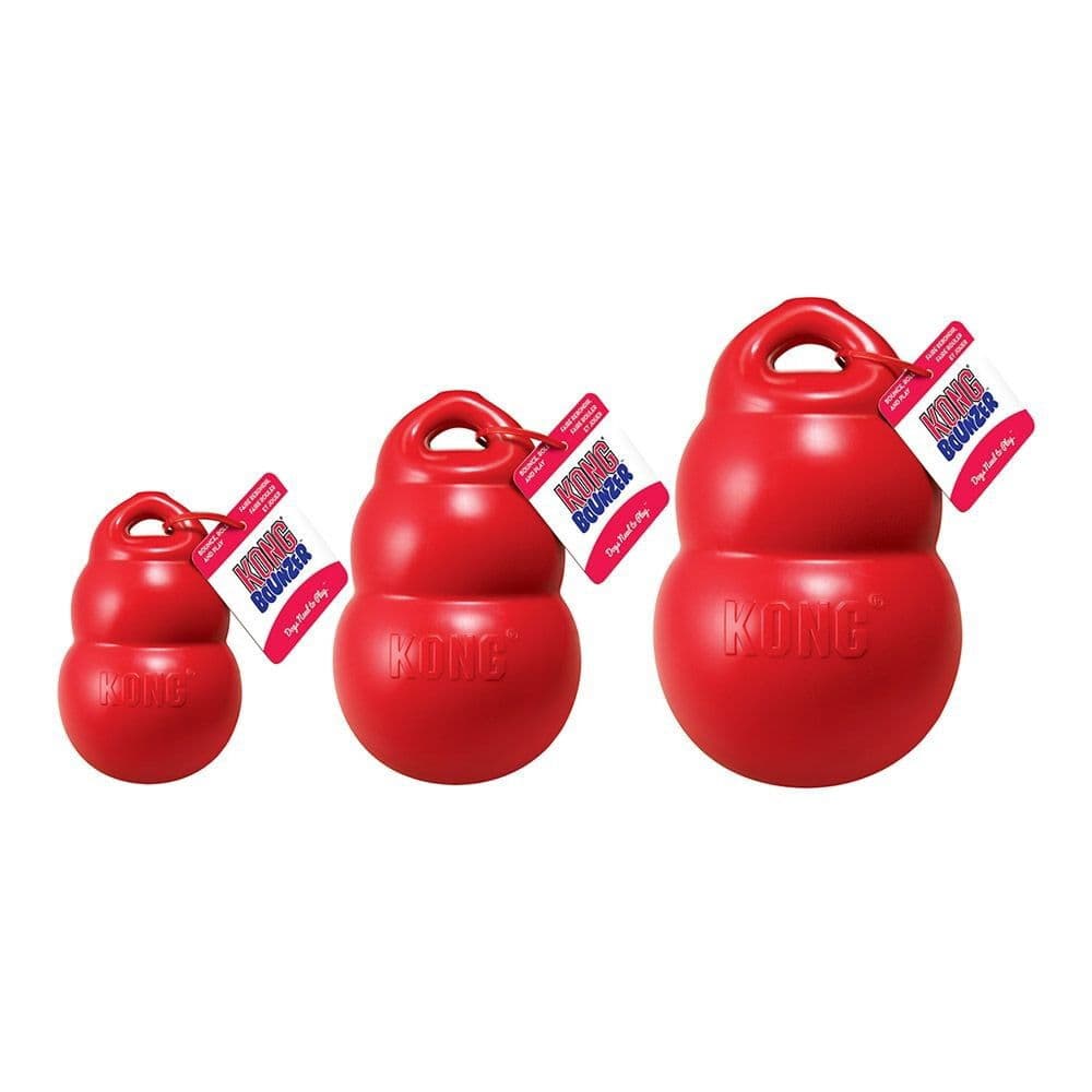 Kong Bounzer
